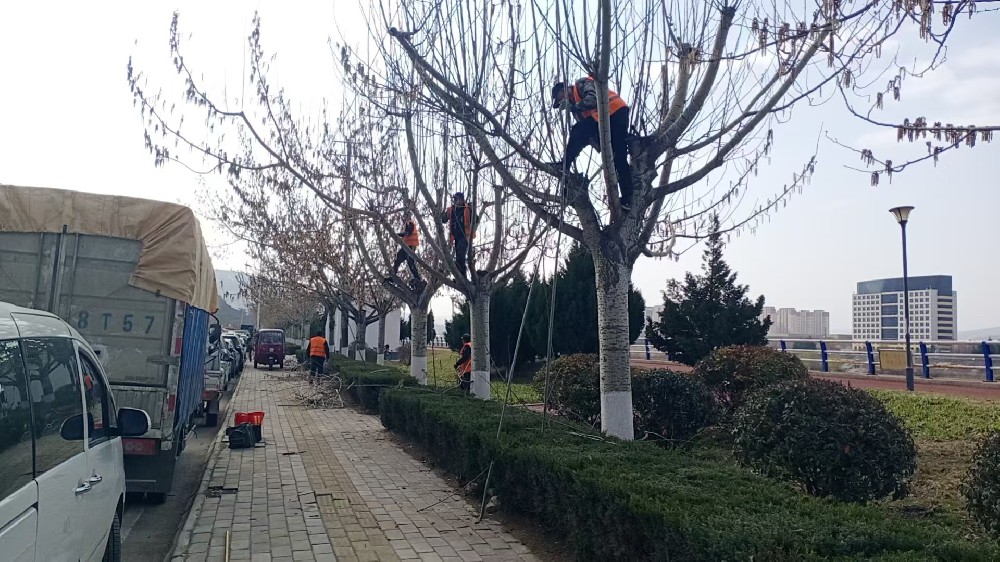 公用事業(yè)公司開展春季樹木修剪工作